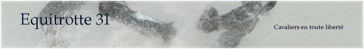 Equitrotte 31